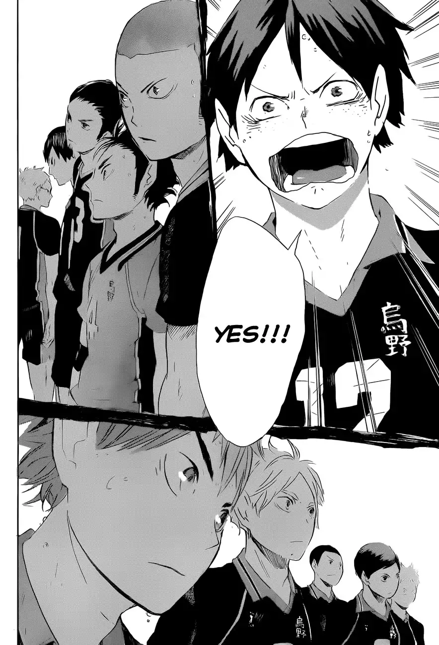 Read Haikyuu!! (EN) Manga Online