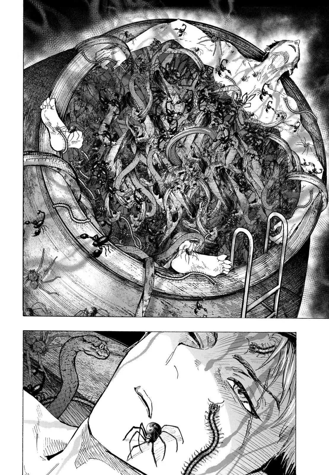 Read MARRIAGETOXIN (EN) Manga Online